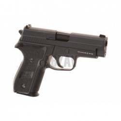ABZAV|P226