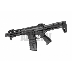 ABZAV|ARP 556 2.0 Black G&G