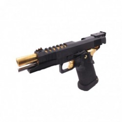 ABZAV|HX2701 5.1 Black Gold Gas AW Custom