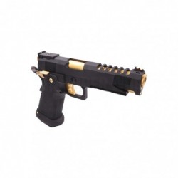 ABZAV|HX2701 5.1 Black Gold Gas AW Custom