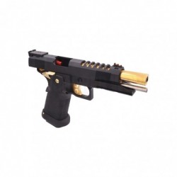 ABZAV|HX2701 5.1 Black Gold Gas AW Custom