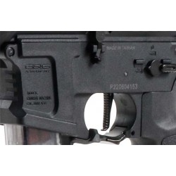 ABZAV|ARP9 3.0 G&G