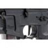 ABZAV|ARP9 3.0 G&G
