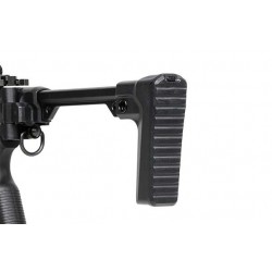 ABZAV|ARP9 3.0 G&G