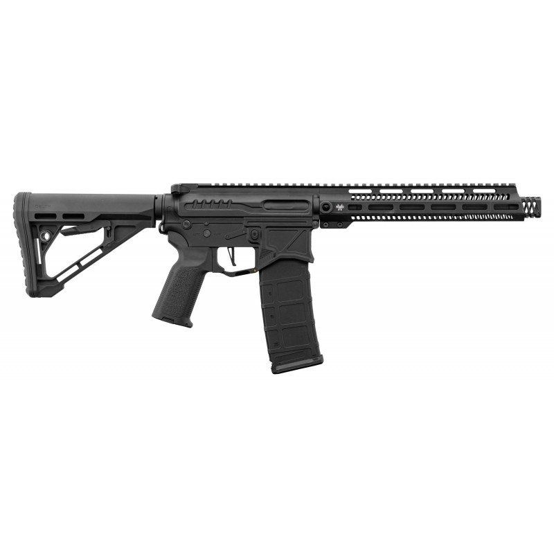 ABZAV|R15 mod 1 Black Zion Arms
