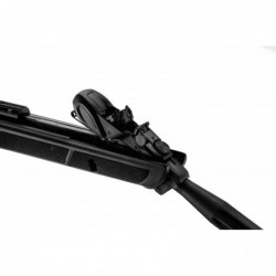 ABZAV|Gamo Roadster IGT 10x Gen2 19.9J