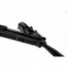 ABZAV|Gamo Roadster IGT 10x Gen2 19.9J
