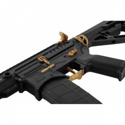 ABZAV|R15 mod 1 Black/Gold Long Zion Arms