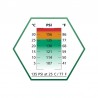 ABZAV|135 PSI ULTRAIR Green Power Gas au Silicone – 570 ml