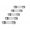 ABZAV|Nimrod Glass Type Fuse 30 mm 20 A (5 pcs)