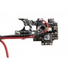 ABZAV|ASTER V2 SX Expert + Quantum Trigger Rear Wired Gate