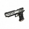 ABZAV|HX2301 IPSC Silver AW custom