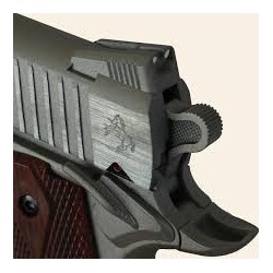 ABZAV|Colt 1911 Rail Gun Stainless CO²