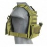 ABZAV|Plate Carrier OD Lancer Tactical