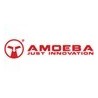 Amoeba